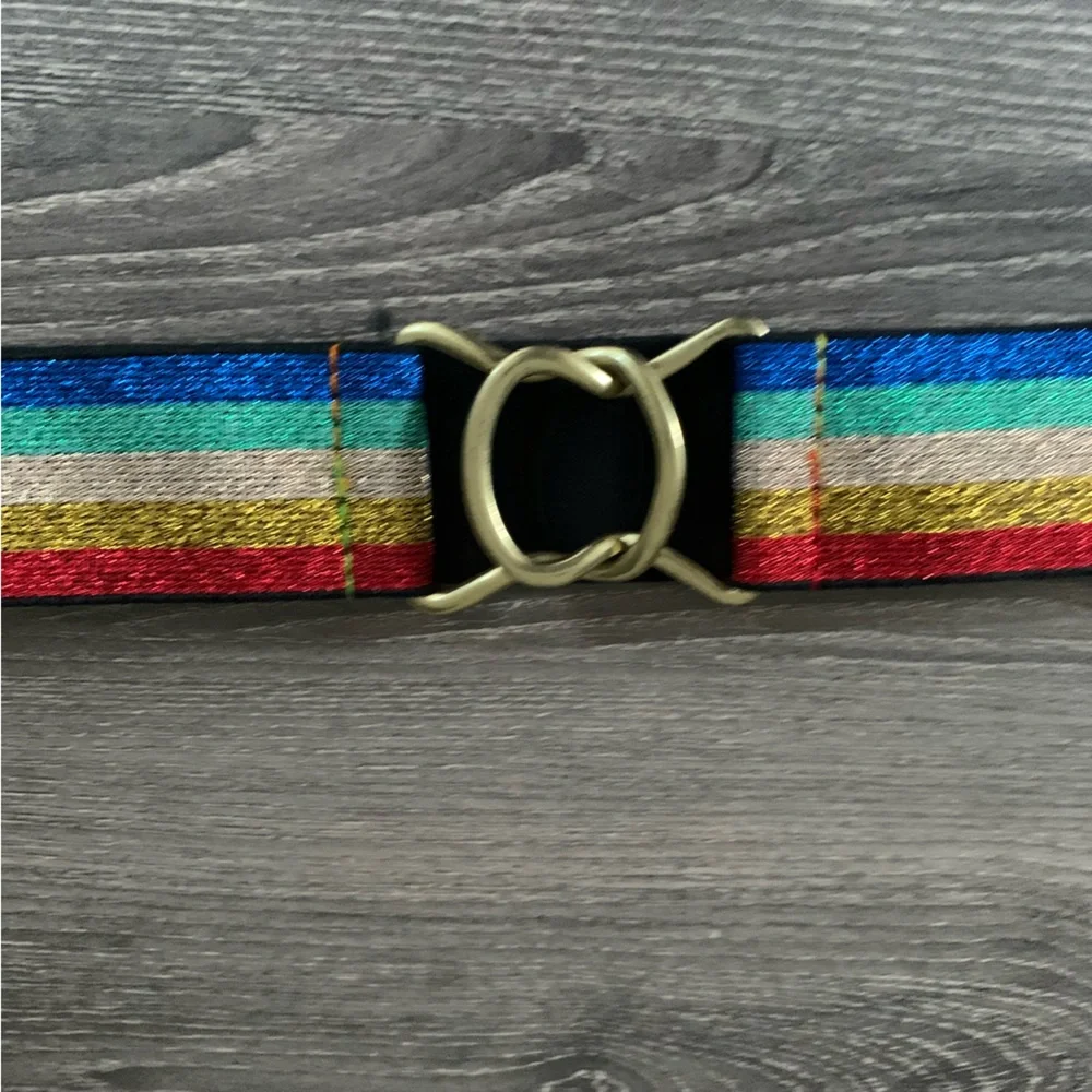 Wild Fable Rainbow Metallic Belt S Stretch Gold Glitter Pride